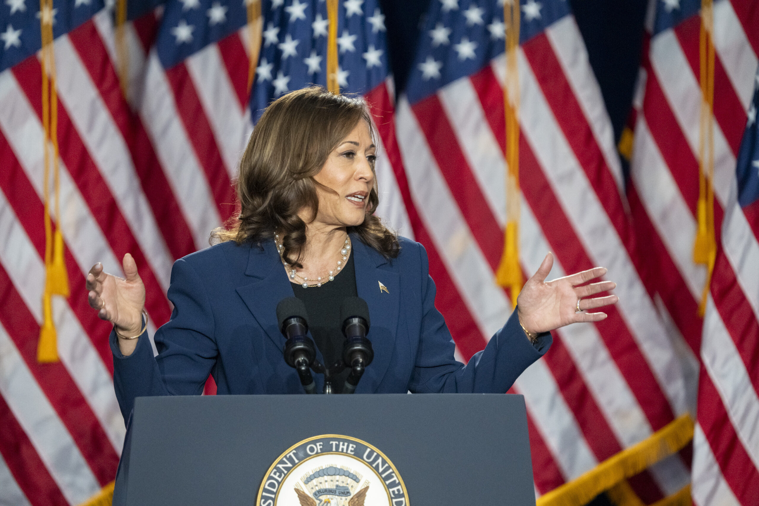 Kamala Harris at Wisconsin rally