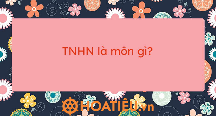 Hoạt động trải nghiệm, hướng nghiệp là môn gì?