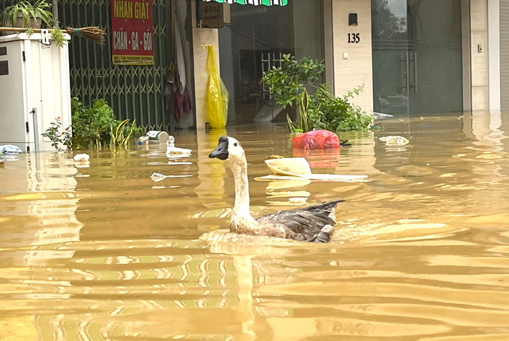 Lũ đang dồn về hạ lưu sông Hồng - Hà Nội và vùng phụ cận - Ảnh 3.