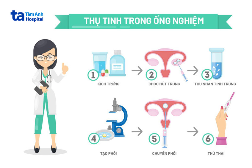 thực hiện thụ tinh trong ống nghiệm