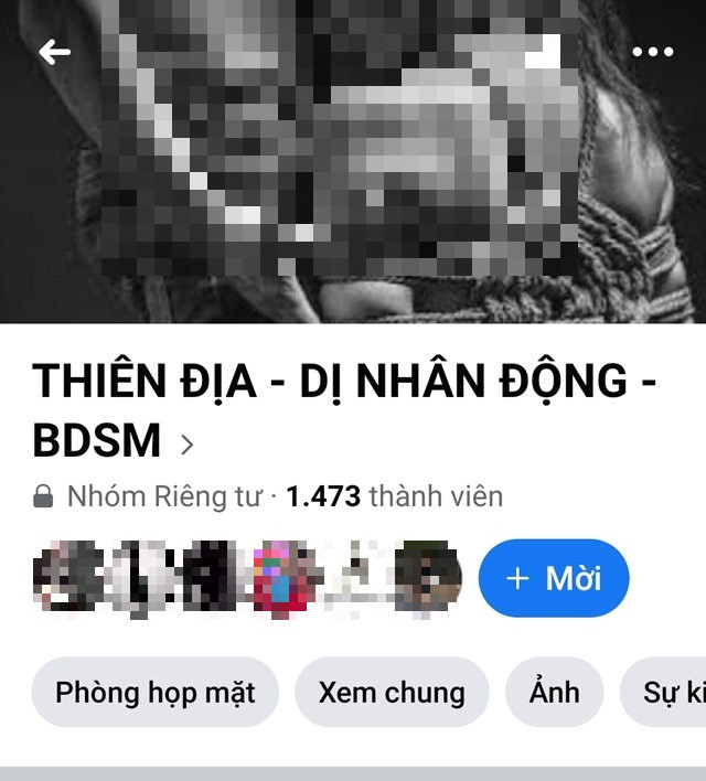 Số lượng thành viên tham gia dù không đông đảo nhưng những hội nhóm này vẫn hoạt động khá sôi nổi. Ảnh chụp màn hình