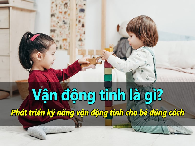 kỹ năng vận động tinh