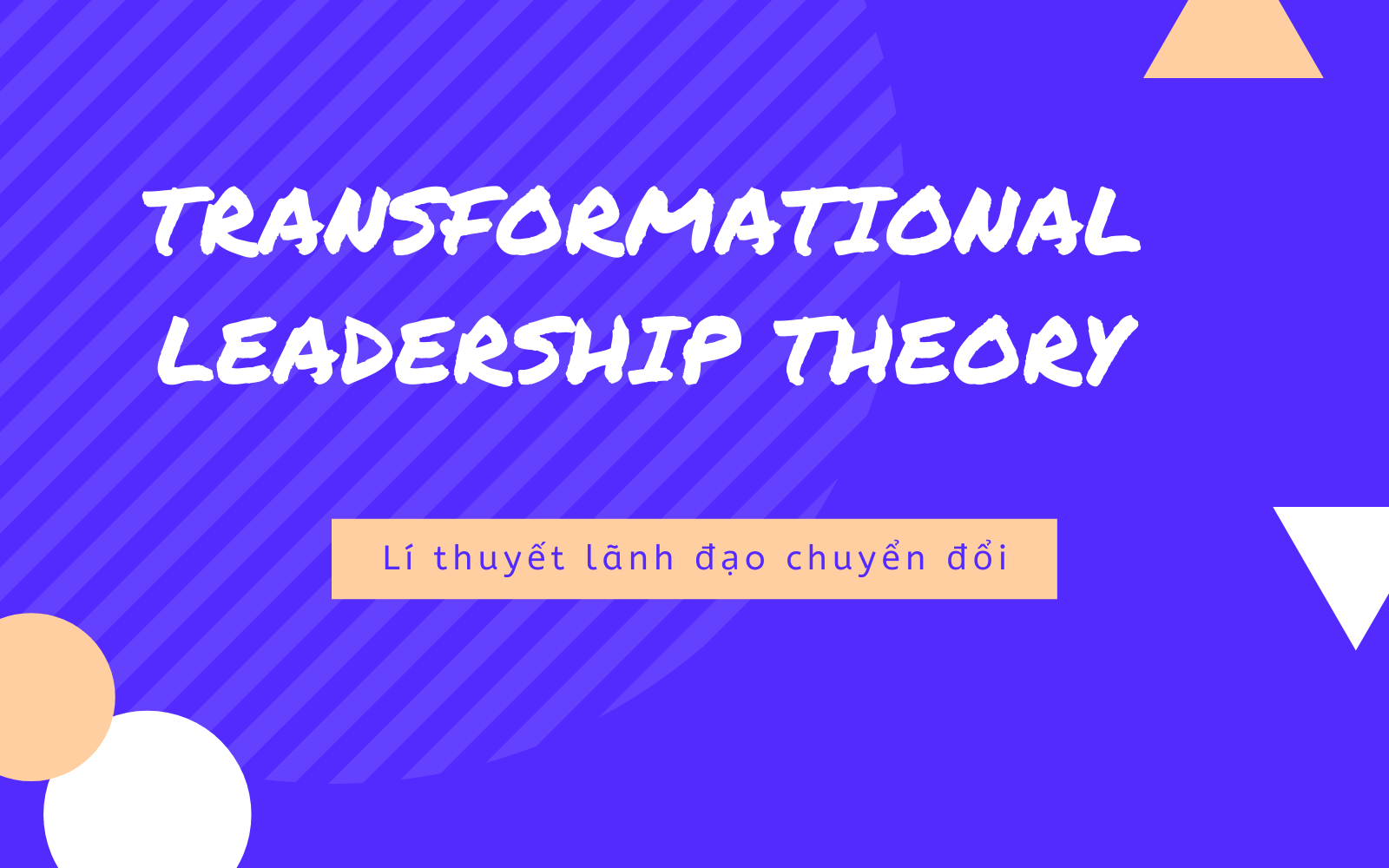 Lí thuyết lãnh đạo chuyển đổi (Transformational Leadership Theory) là gì? - Ảnh 1.