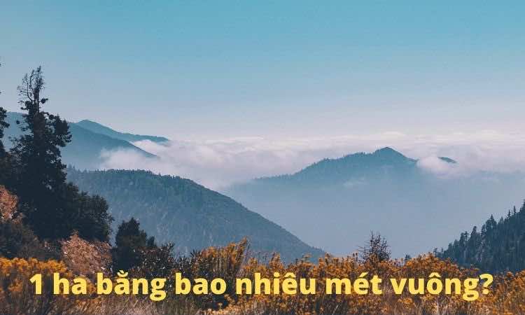 1 ha bằng bao nhiêu mét vuông