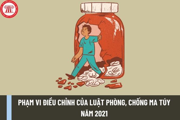 Pháp luật