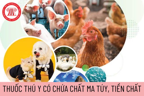 thuốc thú y