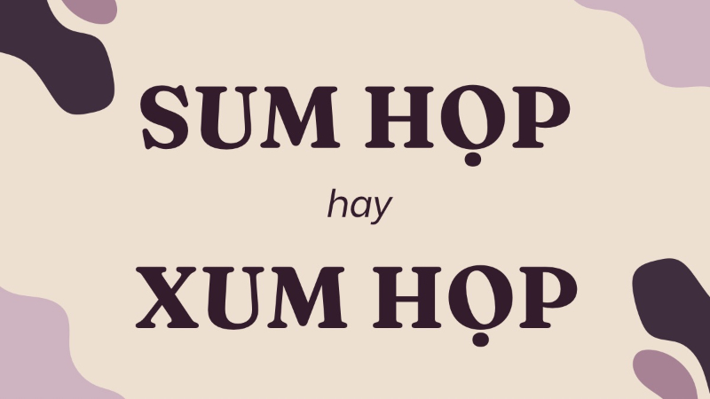 sum họp hay xum họp