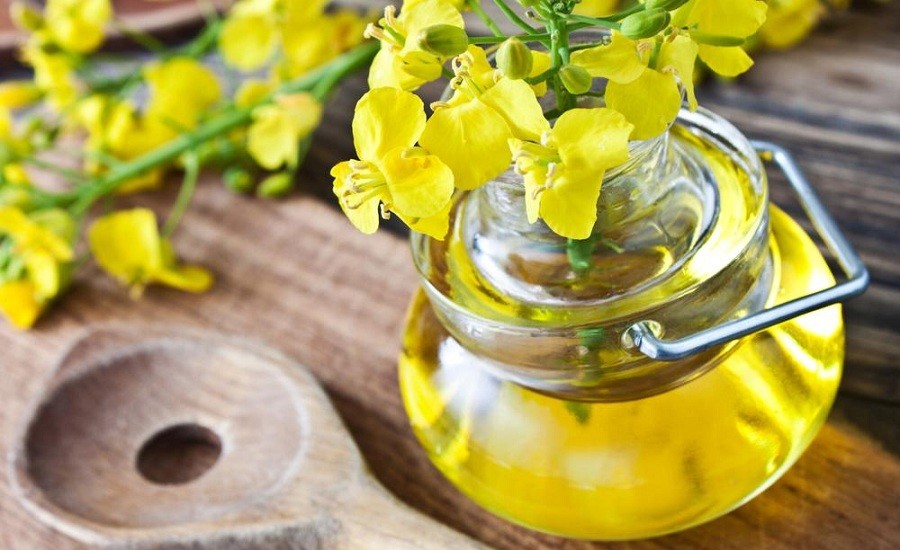 Canola oil là gì? Công dụng của Canola oil đối với sức khỏe.3