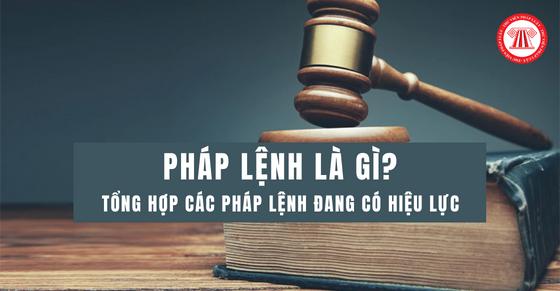 Pháp lệnh là gì? Tổng hợp các pháp lệnh đang có hiệu lực