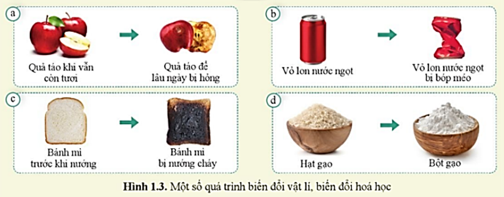 Quan sát hình 1.3 và cho biết quá trình nào diễn ra sự biến đổi vật lí, quá trình nào diễn ra sự biến đổi hoá học. (ảnh 1)