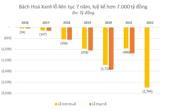 Từng thất bại với Vuivui.com, tham vọng đưa trang TMĐT Bách Hoá Xanh thành số 1 Việt Nam,  tân CEO &quot;không lương&quot; đối mặt điều gì? - Ảnh 3.