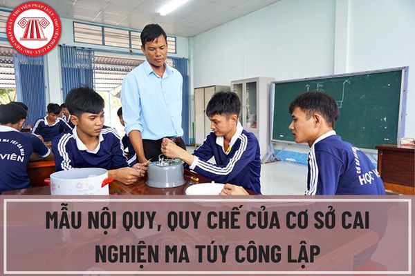 Pháp luật