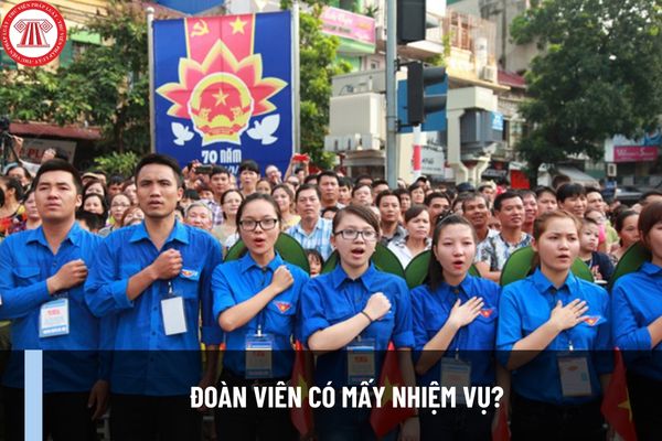 Đoàn viên có mấy nhiệm vụ? Đoàn viên có quyền hạn gì? Quy định về tuổi đoàn viên mới nhất như thế nào?