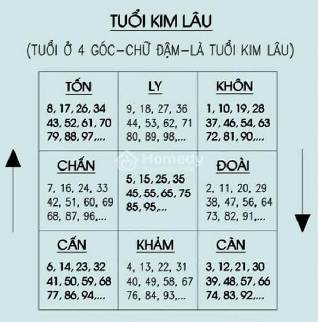 tam-tai-hoang-oc-kim-lau-11