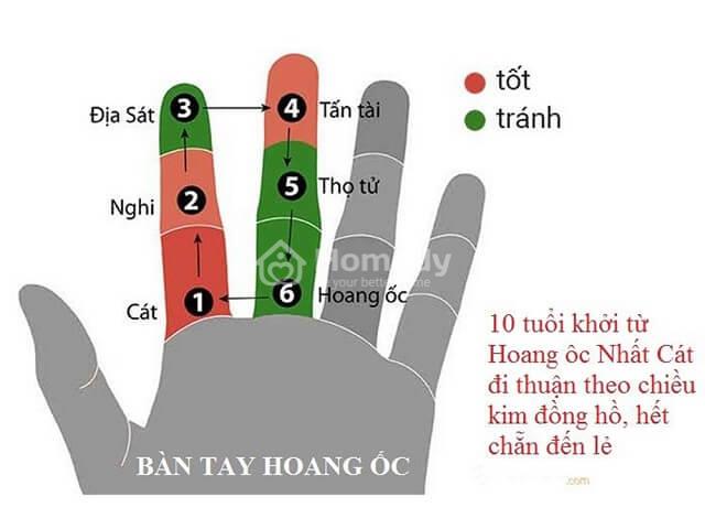 tam-tai-hoang-oc-kim-lau-6