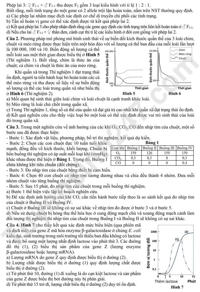 Bo GD cong bo de minh hoa tot nghiep THPT 2025 - Tat ca cac mon